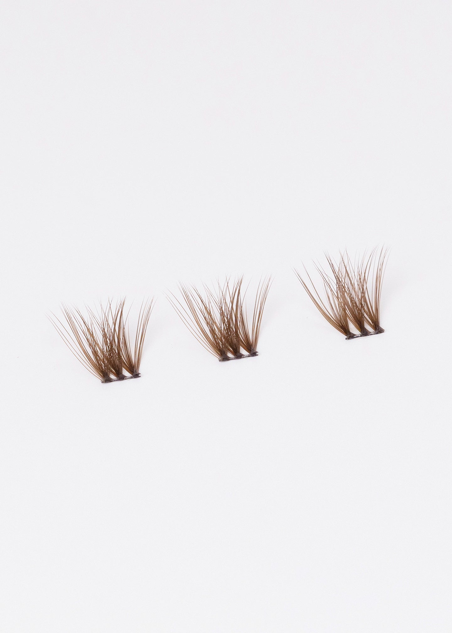 Hybrid Medium Brown