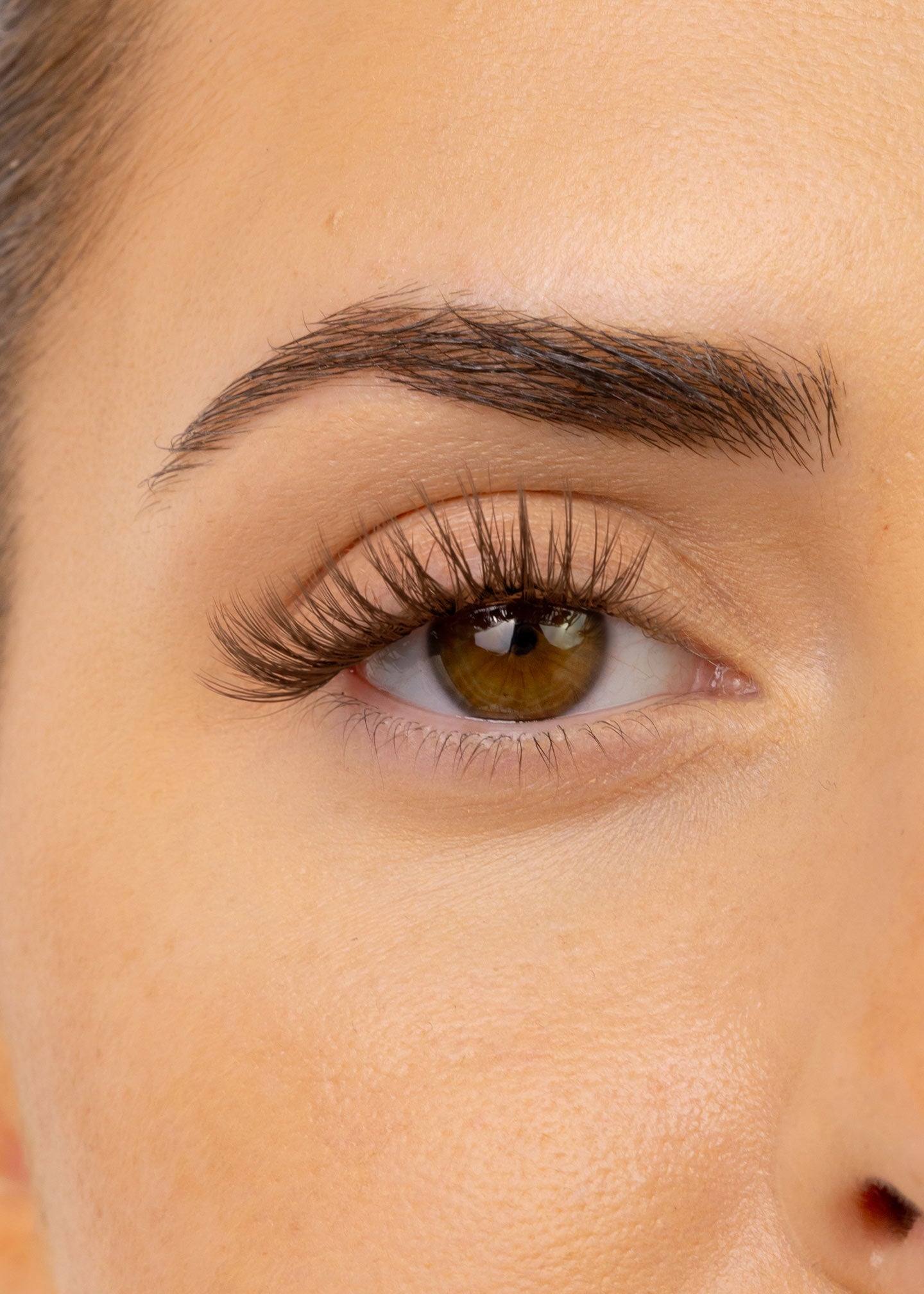 Hybrid Dark Brown