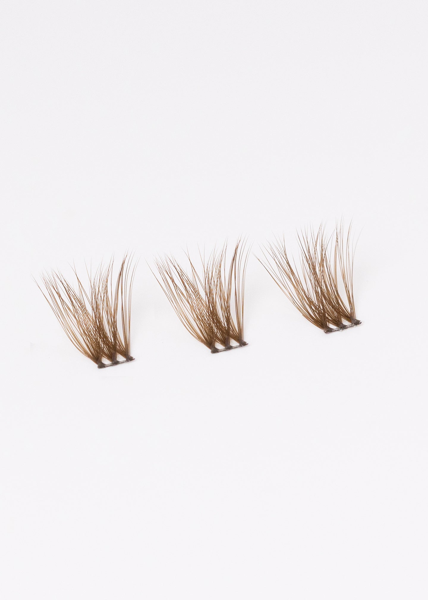Hybrid Medium Brown