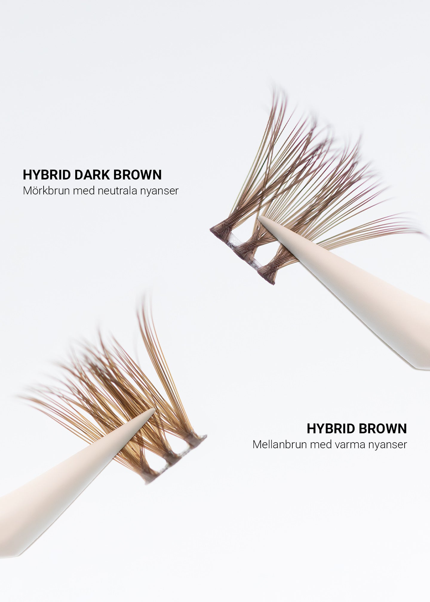 Hybrid Dark Brown