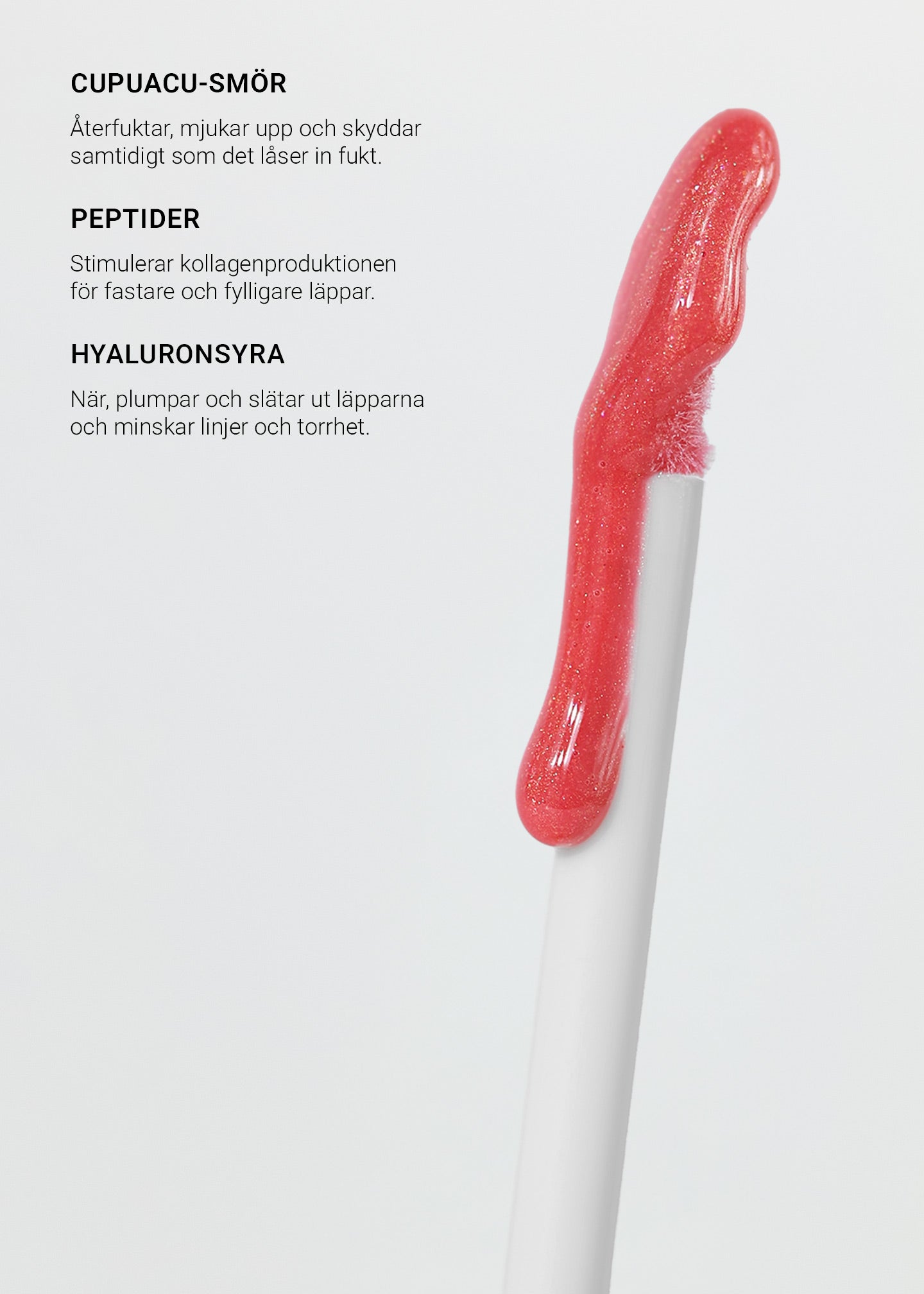 Mini Lip Retreat Trio